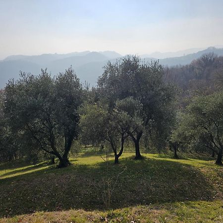 B&B Ca'Baracca Bellavista 바사노델그라파 외부 사진