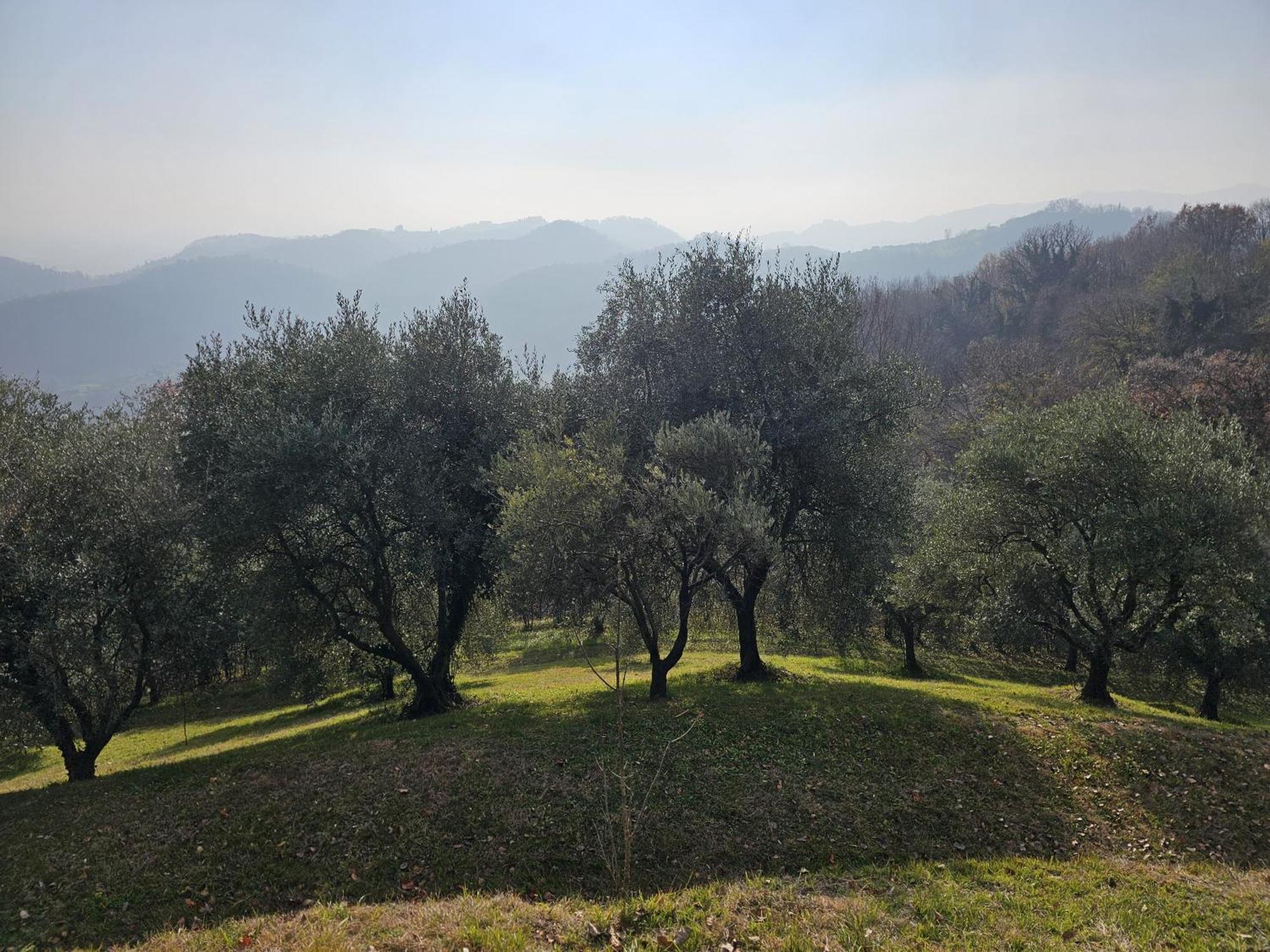 B&B Ca'Baracca Bellavista 바사노델그라파 외부 사진